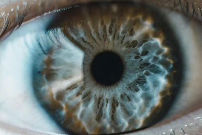 Scientists think they’ve discovered how humans could recover lost vision