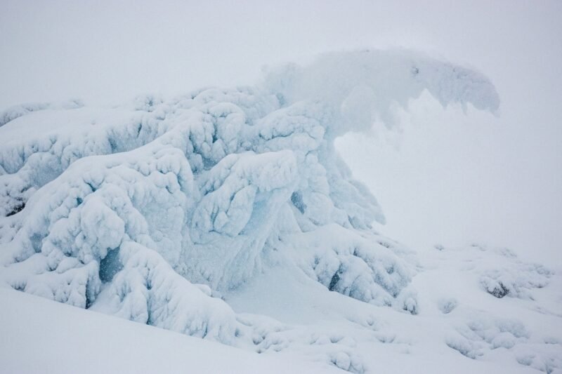 Why Snowflakes Turn Soft and Fluffy in Cold Air